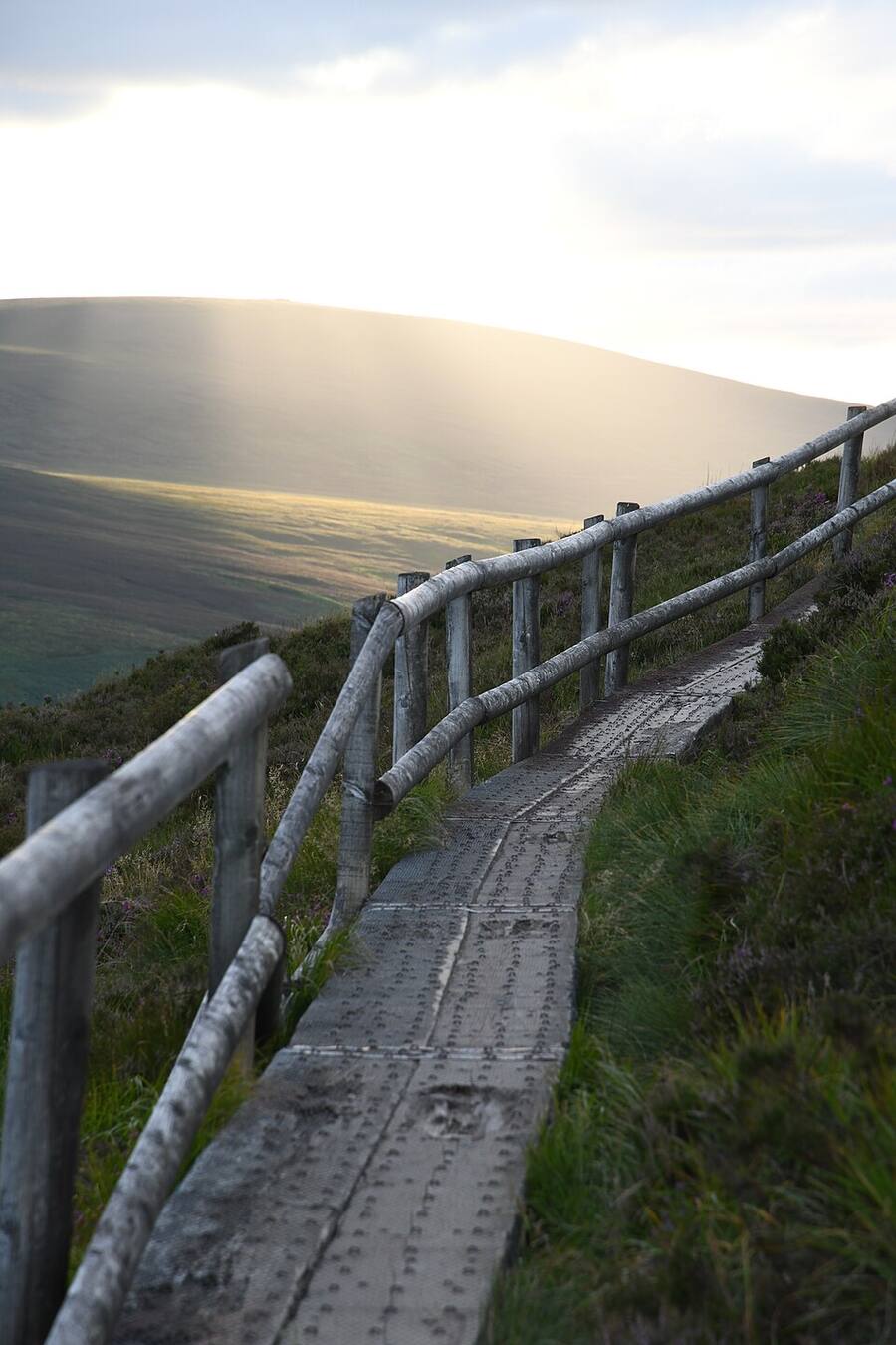 A forest trail through Ballinastoe in the Wicklow Mountains